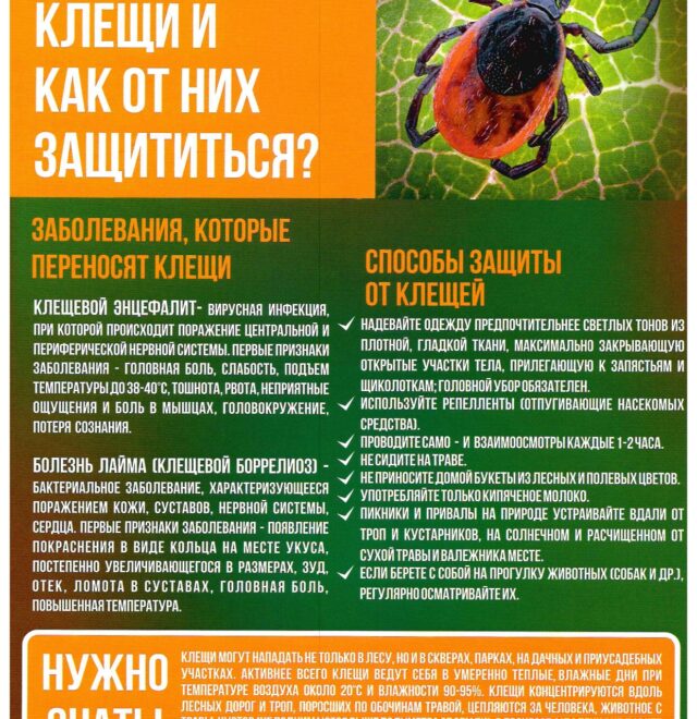 Scan20250925134857_page-0006