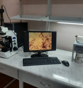 изображение_viber_2025-11-19_11-41-05-409