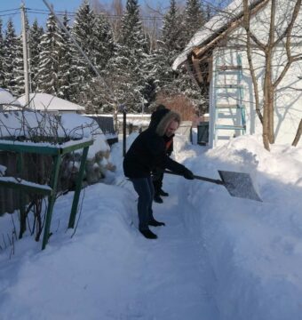 изображение_viber_2026-02-05_08-01-21-095