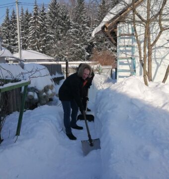 изображение_viber_2026-02-05_08-01-21-399